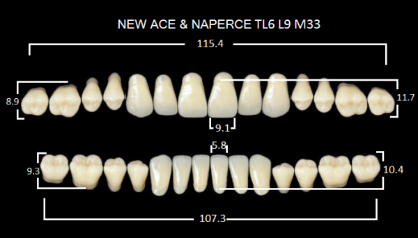 Yamahachi Gloria New Ace & Naperce A3.5 TL6/M33 - акриловые двухслойные зубы