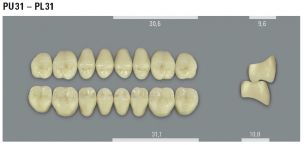VITA MFT боковые верхние зубы, цвет 3M2 (A3), размер PU31, 8 шт.