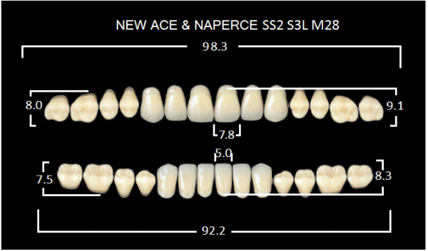 Yamahachi Gloria New Ace & Naperce B3 SS2/M28 - акриловые двухслойные зубы