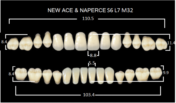 Yamahachi Gloria New Ace & Naperce A3 S6/M32 - акриловые двухслойные зубы