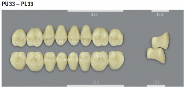 VITA MFT боковые нижние зубы, цвет 2M2 (A2), размер PL33, 8 шт.