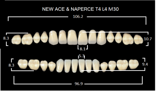 Yamahachi Gloria New Ace & Naperce A4 T4/M30 - акриловые двухслойные зубы