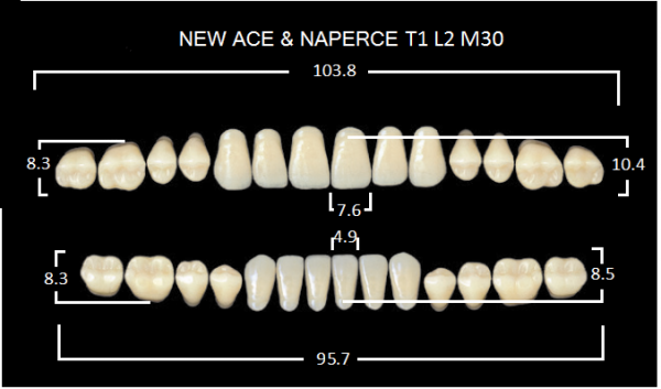 Yamahachi Gloria New Ace & Naperce A2 T1/M30 - акриловые двухслойные зубы