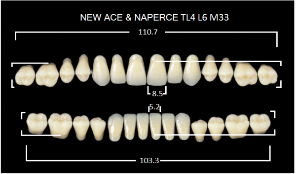 Yamahachi Gloria New Ace & Naperce A3 TL4/M33 - акриловые двухслойные зубы