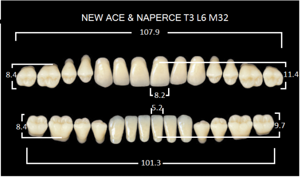 Yamahachi Gloria New Ace & Naperce D3 T3/M32 - акриловые двухслойные зубы