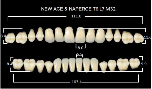 Yamahachi Gloria New Ace & Naperce A2 T6/M32 - акриловые двухслойные зубы