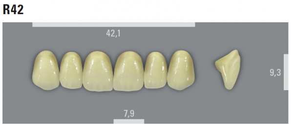 VITA MFT фронтальные верхние зубы, цвет 2M2 (A2), размер R42, 6 шт.