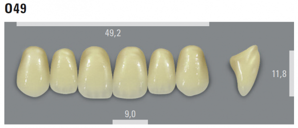 VITA MFT фронтальные верхние зубы, цвет 1M1 (B1), размер O49, 6 шт.