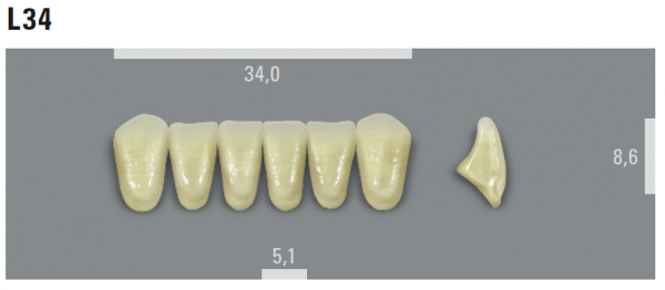 VITA MFT фронтальные нижние зубы, цвет 0M3 (BL), размер L34, 6 шт.