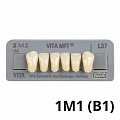 Цвет 1M1 (B1) Цвет 1M1 (B1)