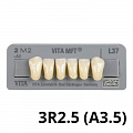 Цвет 3R2.5 (A3.5) Цвет 3R2.5 (A3.5)