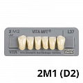 Цвет 2M1 (D2) Цвет 2M1 (D2)